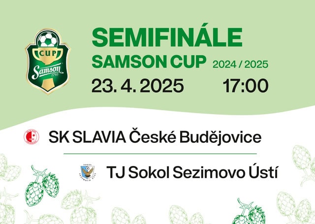 SAMSON CUP